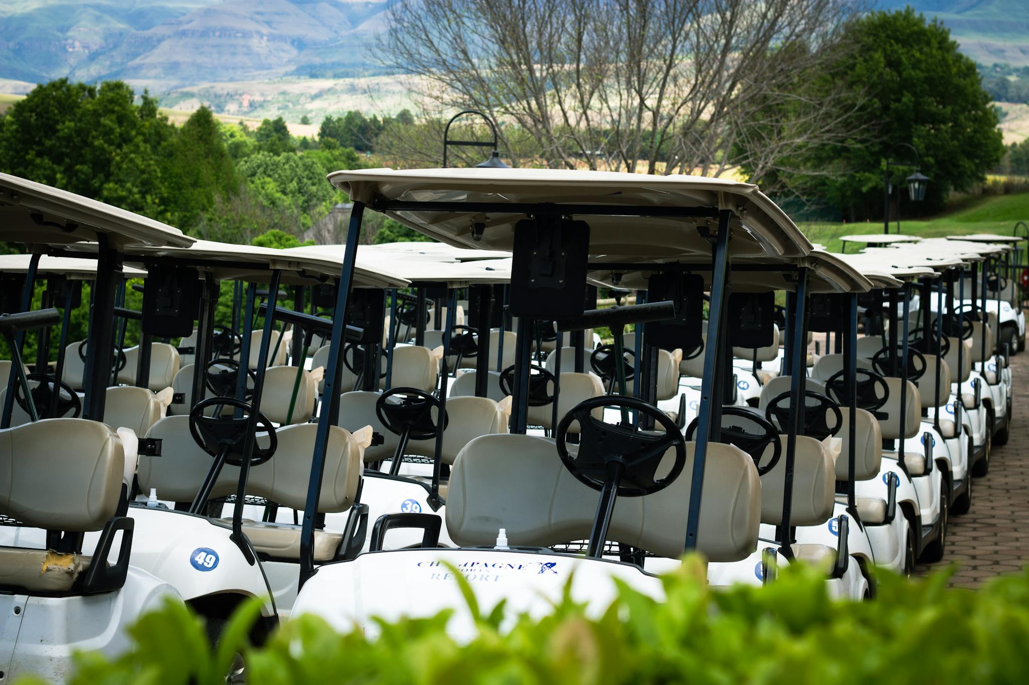 A line of parked golf carts on a lush golf course with mountains in the background.