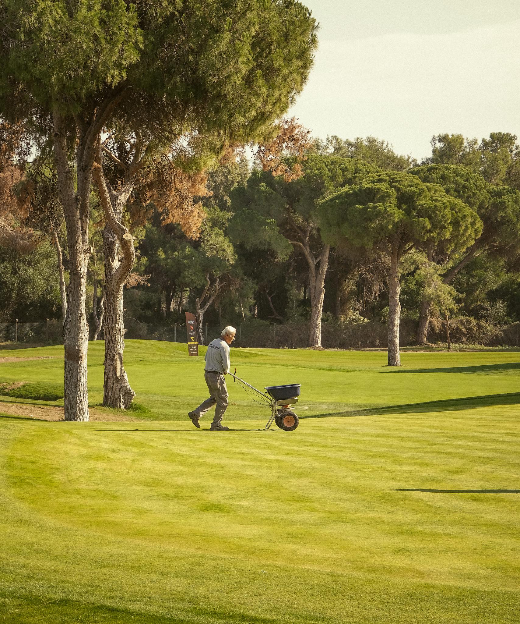 Worker maintaining a lush golf course on a sunny day with trees in the background.